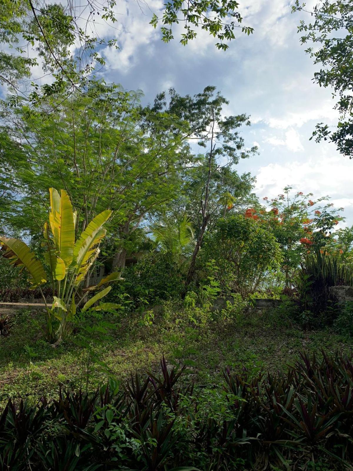 El Encanto - Hotel Boutique Chichen Itza Exterior photo
